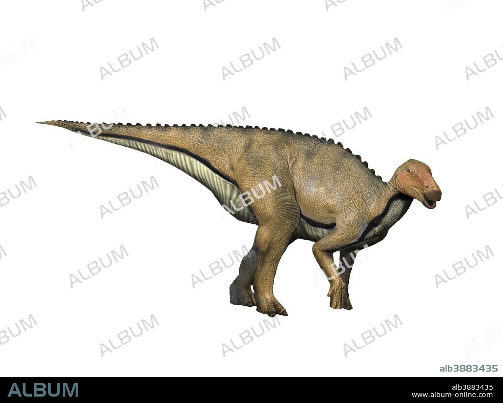 Koshisaurus katsuyama is an ornithopod from the Early Cretaceous of Japan.