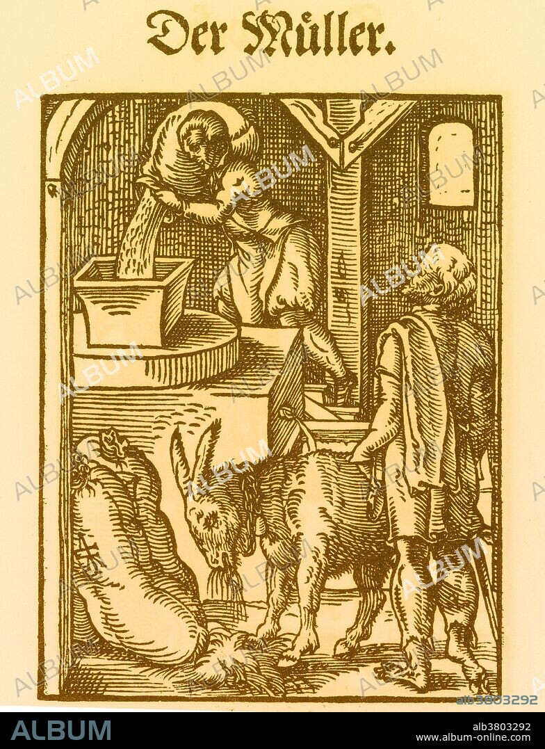 The miller pours the grain brought to him between the millstones and grinds it, and does not withhold the bran; he also pounds stockfish and crushes herbs. A miller usually refers to a person who operates a mill, a machine to grind a cereal crop to make flour. Milling is among the oldest of human occupations. Milling existed in hunter gatherer communities, and later millers were important to the development of agriculture.