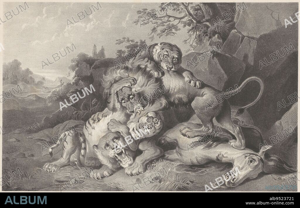 Tigers and lions fighting over the dead horse on the right, Fight between lions and tigers, print maker: Franciscus Bernardus Waanders, (mentioned on object), Raden Sarief Bastaman Saleh, (mentioned on object), printer: Koninklijke Nederlandse Steendrukkerij van C.W. Mieling, (mentioned on object), The Hague, 1847 - 1865, paper, h 351 mm × w 530 mm.