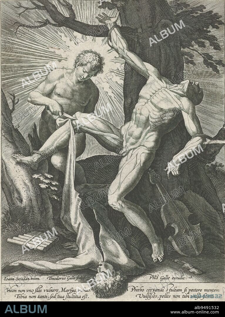 Apollo skins Marsyas, Marsyas lies on the ground, almost completely skinned, his arms tied to a tree, head back. Apollo has peeled off his skin and is working on his right leg. On the ground are fiddle and pan flute. The print has a Latin caption., print maker: Theodoor Galle, (mentioned on object), after design by: Jan van der Straet, (mentioned on object), publisher: Philips Galle, (mentioned on object), Antwerp, 1581 - 1612, paper, engraving, height 178 mm × width 133 mm.