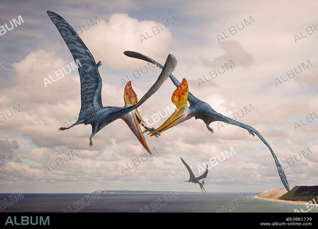 Two Geosternbergia pterosaurs fighting over small fish.