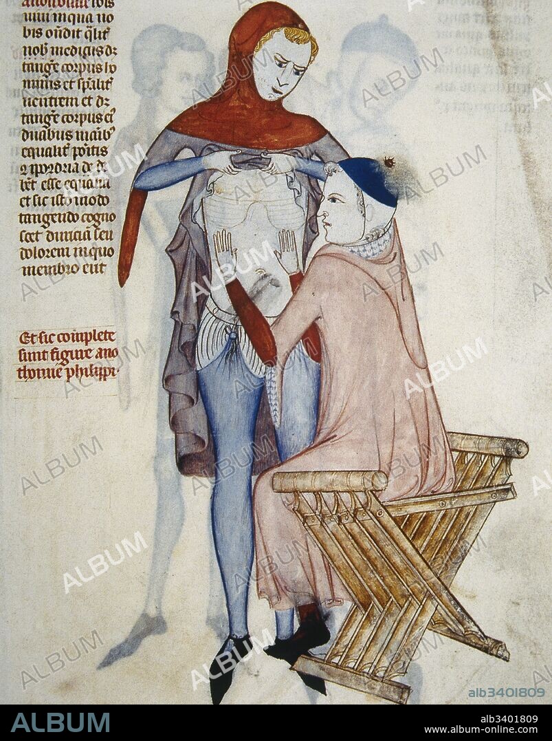 Medieval era. Medical surgeon examining a patient«s thorax. 15th century. Anatomy of Guy of Pavia, 1345. Anonymous artist. Conde Museum. Chantilly. France.