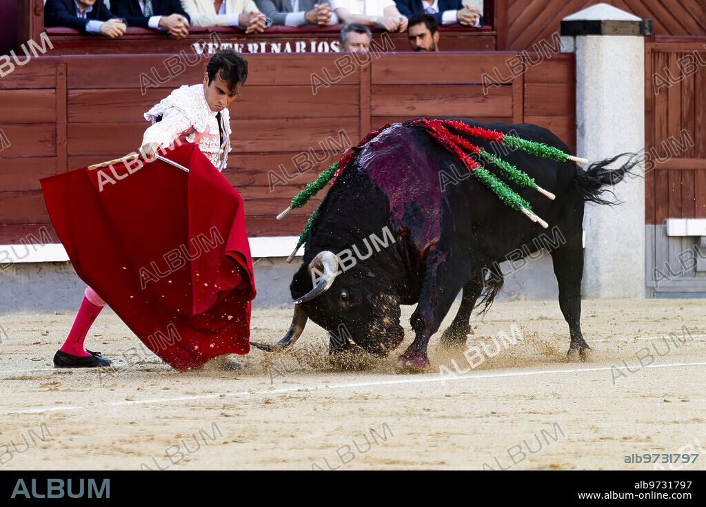 Madrid, 06/03/2022. Plaza de las Ventas.Bullfighters: José María Manzanares, Alejandro Marcos (Confirmation) and Tomás Rufo. Photo of Saint Bernard. Archdc.
